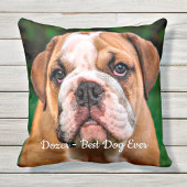 犬最高のがペットでモダンす写真 クッション