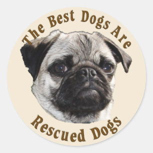 犬最高のが救われる(Pug) ラウンドシール