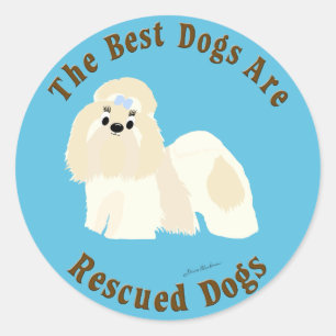犬最高のが救出される(シーズー(犬)Tzu) ラウンドシール