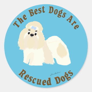 犬最高のが救出される(シーズー(犬)Tzu) ラウンドシール