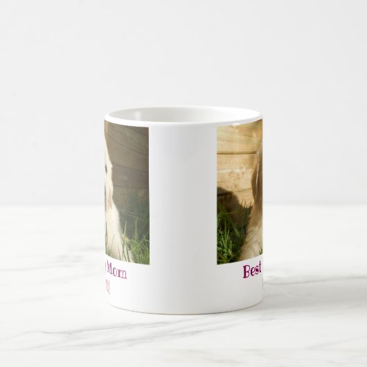 犬最高のの母がペットで撮影 コーヒーマグカップ (中央)