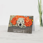 犬最高のの母さん！母の日おめでとう！カード カード (正面)