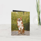 犬最高のパパ史上初めて父のデイカードをバンプ 招待状 (裏面)