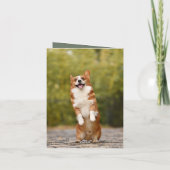 犬最高のパパ史上初めて父のデイカードをバンプ 招待状 (裏面)