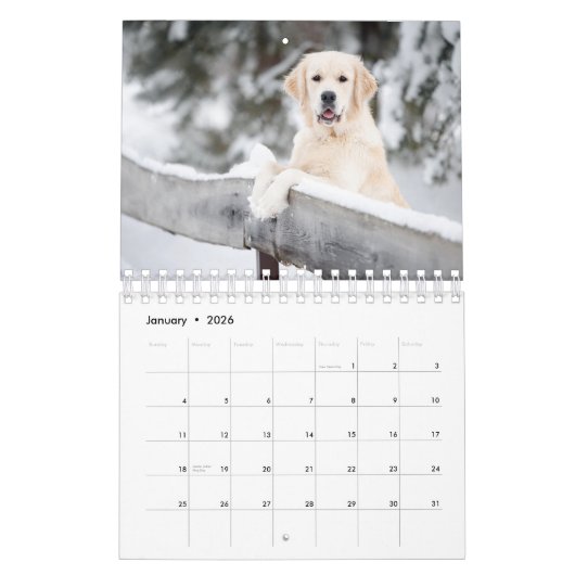 犬最高の写真 カレンダー (1月 2026)