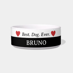 犬最高の常陶製ドッグボウル ボウル