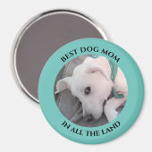 犬最高の母の写真かわいい白い子犬の青い馬 マグネット (正面/裏面)