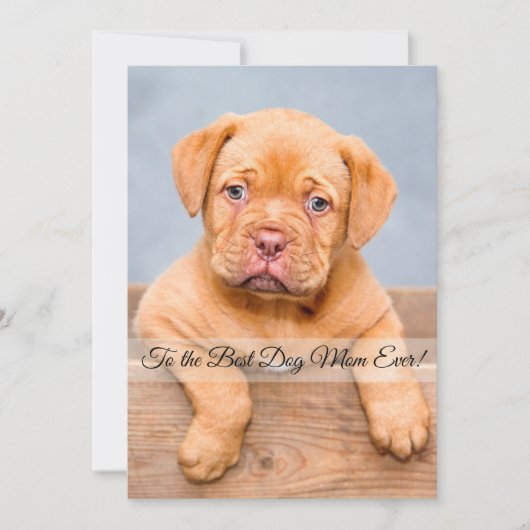 犬最高の母の母の日のフラットカーカスタムド (正面)