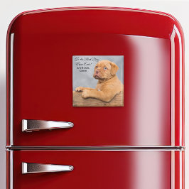 犬最高の母は常にカスタマイズ可能なフォトマグネット マグネット