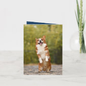 犬最高の母は母のデイカードを拳で叩く 招待状 (裏面)