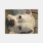 犬毛布 フリースブランケット (正面(横))