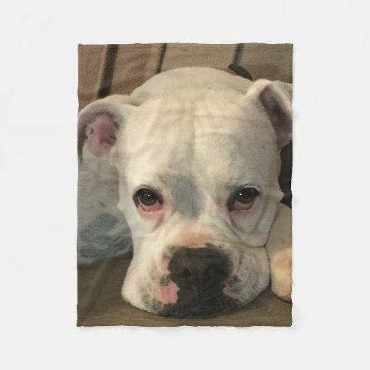 犬毛布 フリースブランケット (正面)