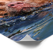 犬泳ぎ ポスター (角)