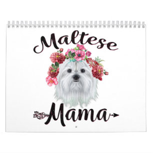 犬派 かわいいマルチーズママドッグフラワーズ花模様 カレンダー