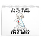 犬派|私は犬ではないと言っているマルチーズ カレンダー (カバー)