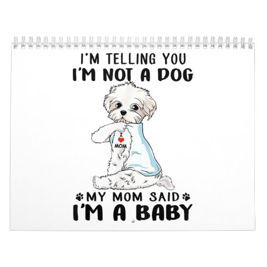 犬派|私は犬ではないと言っているマルチーズ カレンダー (カバー)