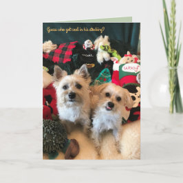 犬炭収集家クリスマスカード シーズンカード