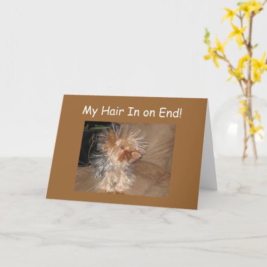 犬熱狂する毛「40th」誕生日 カード (黄色い花)