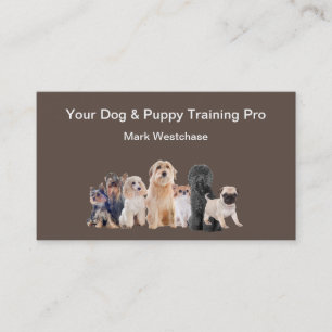 犬犬訓練アポイントメント名刺 名刺