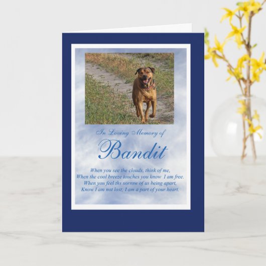 犬猫ペット悔やみや弔慰カスタム写真スピリチュアル詩 カード (黄色い花)