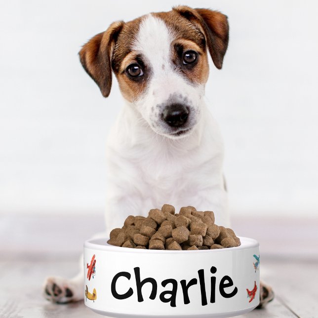 犬猫丼かわいい水彩飛行機名カスタム ボウル (クリエイターアップロード済み)