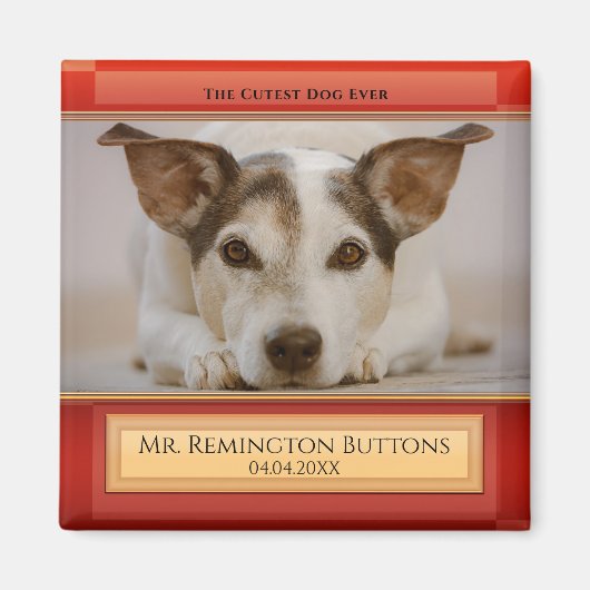 犬猫形記念カスタムマグネット マグネット (正面)