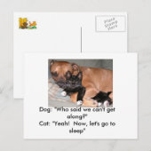 犬猫用はがき ポストカード (正面/裏面)