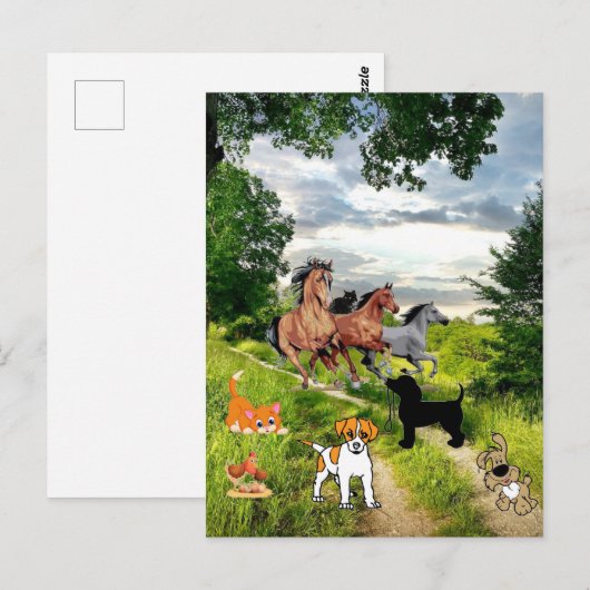 犬猫鶏馬葉書 ポストカード (正面/裏面)
