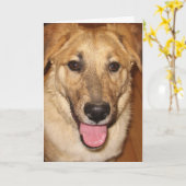 犬獣医さん卒業、おめでとうございます カード (黄色い花)