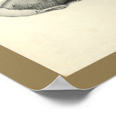 犬獣医スカル頭筋解剖学プリント ポスター (角)