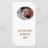 犬用カード (正面/裏面)