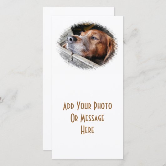 犬用カード (正面/裏面)