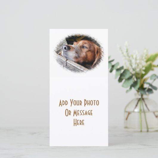 犬用カード (スタンド正面)