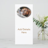 犬用カード (スタンド正面)