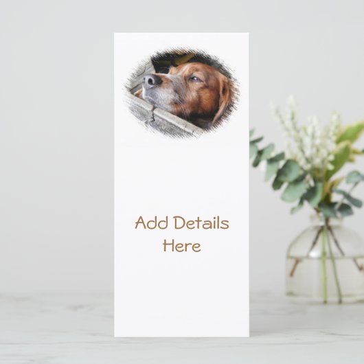 犬用カード (スタンド正面)