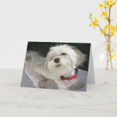 犬用グリーティングカード カード (黄色い花)