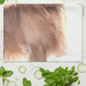 犬用タオル キッチンタオル (折り畳み)