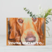 犬用バースデーパーティ招待状 招待状 (スタンド正面)