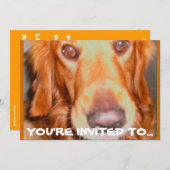 犬用バースデーパーティ招待状 招待状 (正面/裏面)