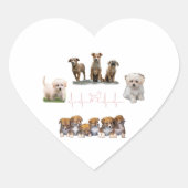 犬用パッケージ，おもしろい犬パッケージ ハートシール (正面)