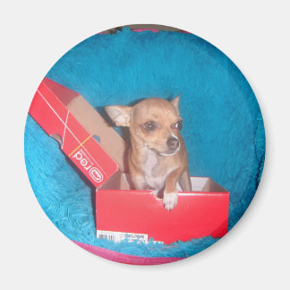 犬磁石 マグネット