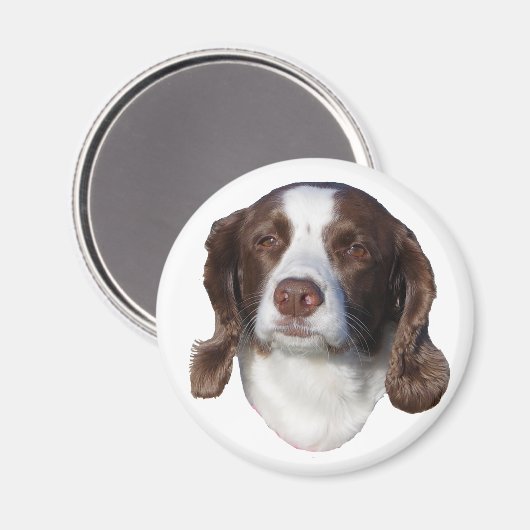 犬磁石 マグネット (正面/裏面)