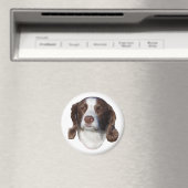 犬磁石 マグネット (インサイチュ (食洗機))