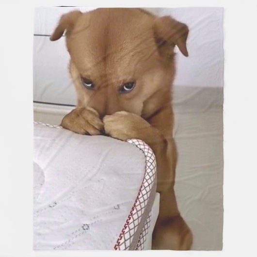 犬祈の フリースブランケット (正面)