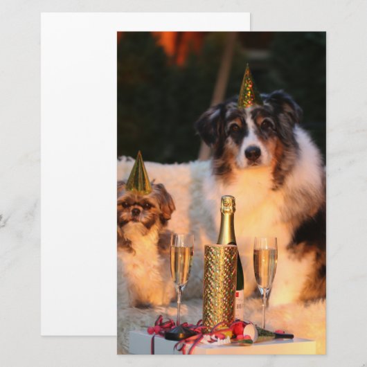 犬祝の新年 便箋 (正面/裏面)