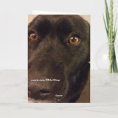 犬私は残念な挨拶状です カード (裏面)