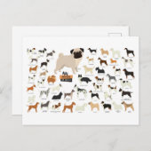 犬種はがき シーズンポストカード (正面/裏面)