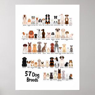 犬種57人のポスター ポスター