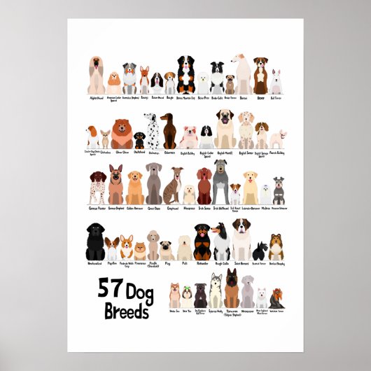犬種57人のポスター ポスター (正面)