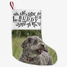 犬素朴の写真と名前のフェスティバル